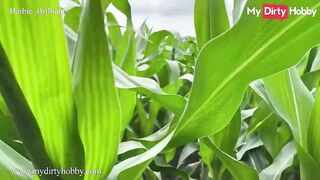 MyDirtyHobby - Slutty Teen Barbie_Brilliant Walks In The Corn Field Looking For A Nice Cock To Ride