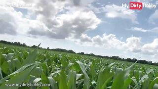 MyDirtyHobby - Slutty Teen Barbie_Brilliant Walks In The Corn Field Looking For A Nice Cock To Ride