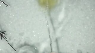 Enjoying The Taste Of This Yellow Snow That I Made With My Pee