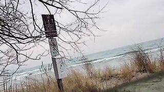 Head at the beach