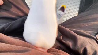 In Public Cum on Socks and wear Nike Shoes after. ( Footjob / Sockjob )