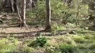 Lucky stranger getting a wank from me in the woods before I take him home for hard fuck