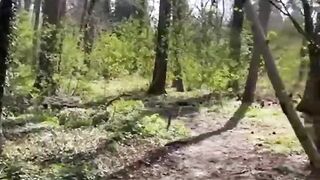 Lucky stranger getting a wank from me in the woods before I take him home for hard fuck