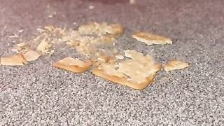 Tiny feet Crush a Cracker