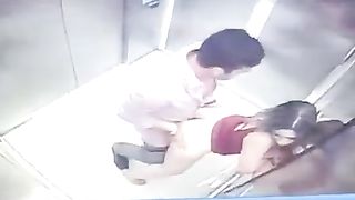 couple caught fucking in the elevator