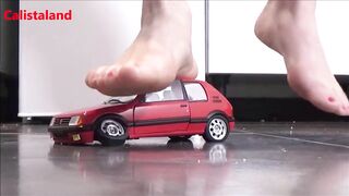 This miniature collectible car costs 30 euros and my girlfriend destroyed it with her feet