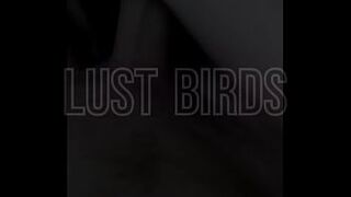 Watch Kate & Andy Lust | Blowjob and Reverse Cowgirl | First Sex Tape