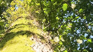 Pissing in a french forest