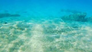 Underwater PEE and NAKED Swim at Nudist Beach