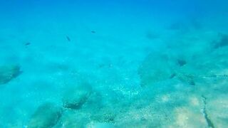 Underwater PEE and NAKED Swim at Nudist Beach