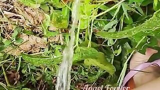 Village woman in a red tunic is pissing in the middle of a green field