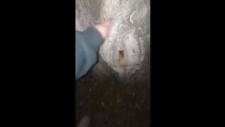 Tree with a perfect pussy!