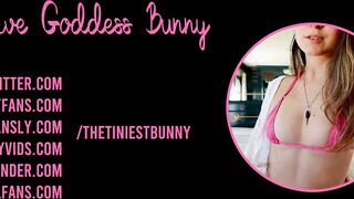 The sissy test: do you wear panties? - Sissification with Femdom Goddess Bunny