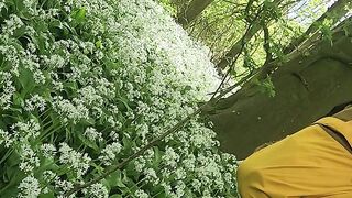 Pissing in beautiful wild garlic spot