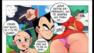 Bulma X Vegeta - Bulma Fucking the Saiyan Prince - Dragon Ball Porn Manga