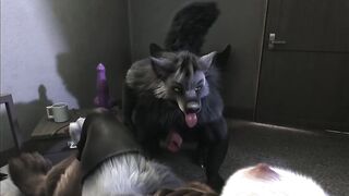 Loona's Werewolf Party