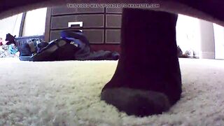 Fucking wife hidden cam