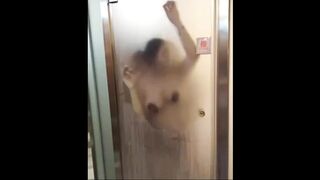 Tik Tok Hottie Gets Destroyed in the Gym Shower