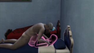 The Male Member Enters the Transparent Girl and is seen in Sex | Sims 4 Wicked Woohoo