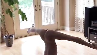 Handstand Dance