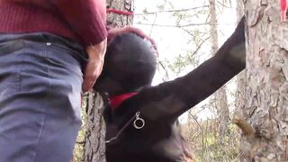 Tied to a tree, masked and outdoor deepthroat with no mercy