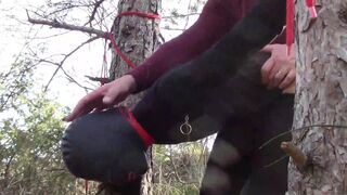 Tied up to a tree outdoors in sexy clothes and fucked hard