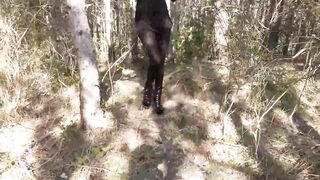 Walking on the Wood Wearing a Black Dress, Pantyhose and High Heels Ankle Boots