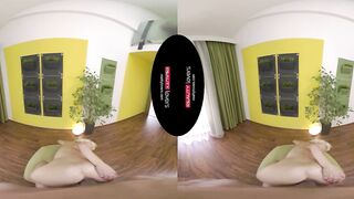 Reality Lovers - Best POV Anal Compilation in VR