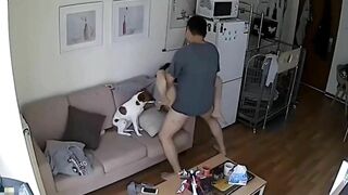 Chinese couple sex..  ip camera