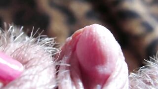 extreme close up clitoris